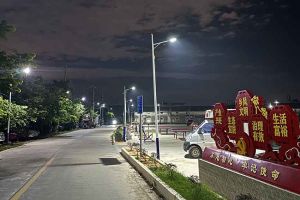 玩球集团官网玩球集团官网玩球集团官网玩球集团官网首页-玩球(中国)-玩球(中国)
集团罗宁弟爱心捐赠路灯，点亮乡村路温暖乡民心